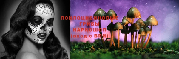 прущая мука Армянск